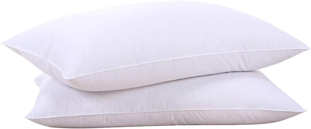 Best Pillows for Back Sleepers – Puredown Goose Down Pillow